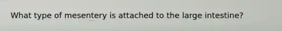 What type of mesentery is attached to the <a href='https://www.questionai.com/knowledge/kGQjby07OK-large-intestine' class='anchor-knowledge'>large intestine</a>?