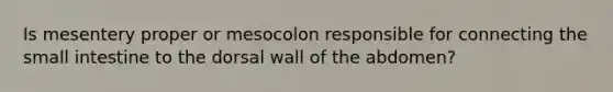 Is mesentery proper or mesocolon responsible for connecting <a href='https://www.questionai.com/knowledge/kt623fh5xn-the-small-intestine' class='anchor-knowledge'>the small intestine</a> to the dorsal wall of the abdomen?