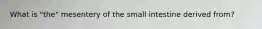 What is "the" mesentery of the small intestine derived from?