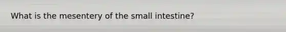 What is the mesentery of the small intestine?