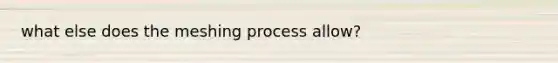 what else does the meshing process allow?