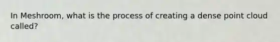 In Meshroom, what is the process of creating a dense point cloud called?