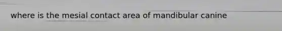 where is the mesial contact area of mandibular canine