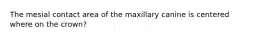 The mesial contact area of the maxillary canine is centered where on the crown?