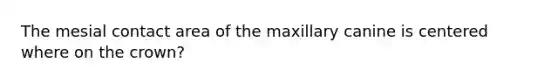 The mesial contact area of the maxillary canine is centered where on the crown?