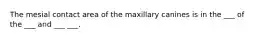 The mesial contact area of the maxillary canines is in the ___ of the ___ and ___ ___.