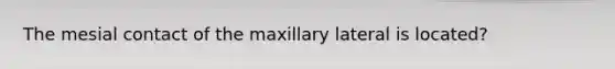 The mesial contact of the maxillary lateral is located?