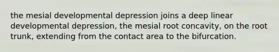 the mesial developmental depression joins a deep linear developmental depression, the mesial root concavity, on the root trunk, extending from the contact area to the bifurcation.