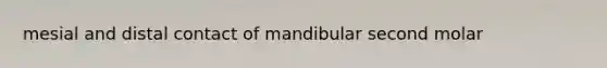 mesial and distal contact of mandibular second molar