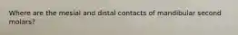 Where are the mesial and distal contacts of mandibular second molars?