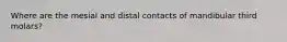 Where are the mesial and distal contacts of mandibular third molars?