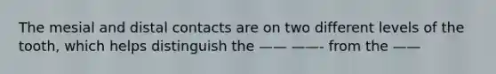 The mesial and distal contacts are on two different levels of the tooth, which helps distinguish the —— ——- from the ——