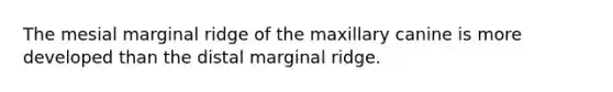 The mesial marginal ridge of the maxillary canine is more developed than the distal marginal ridge.