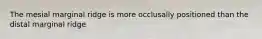 The mesial marginal ridge is more occlusally positioned than the distal marginal ridge