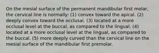 On the mesial surface of the permanent mandibular first molar, the cervical line is normally: (1) convex toward the apical. (2) deeply convex toward the occlusal. (3) located at a more occlusal level at the buccal, as compared to the lingual. (4) located at a more occlusal level at the lingual, as compared to the buccal. (5) more deeply curved than the cervical line on the mesial surface of the mandibular first premolar.