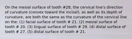 On the mesial surface of tooth #28, the cervical line's direction of curvature (convex toward the incisal), as well as its depth of curvature, are both the same as the curvature of the cervical line on the: (1) facial surface of tooth # 21. (2) mesial surface of tooth # 20. (3) lingual surface of tooth # 29. (4) distal surface of tooth # 27. (5) distal surface of tooth # 21.