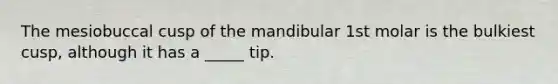 The mesiobuccal cusp of the mandibular 1st molar is the bulkiest cusp, although it has a _____ tip.