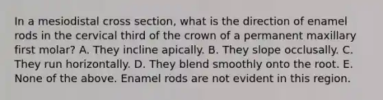 In a mesiodistal cross section, what is the direction of enamel rods in the cervical third of the crown of a permanent maxillary first molar? A. They incline apically. B. They slope occlusally. C. They run horizontally. D. They blend smoothly onto the root. E. None of the above. Enamel rods are not evident in this region.