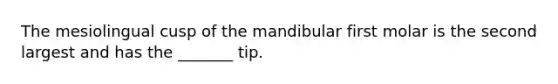 The mesiolingual cusp of the mandibular first molar is the second largest and has the _______ tip.