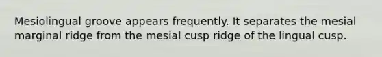 Mesiolingual groove appears frequently. It separates the mesial marginal ridge from the mesial cusp ridge of the lingual cusp.