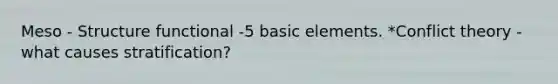 Meso - Structure functional -5 basic elements. *Conflict theory -what causes stratification?