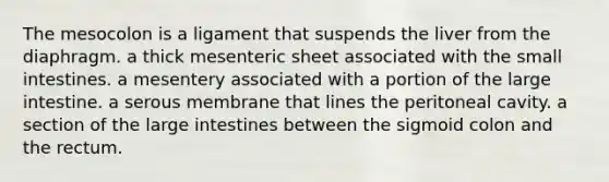 The mesocolon is a ligament that suspends the liver from the diaphragm. a thick mesenteric sheet associated with the small intestines. a mesentery associated with a portion of the large intestine. a serous membrane that lines the peritoneal cavity. a section of the large intestines between the sigmoid colon and the rectum.