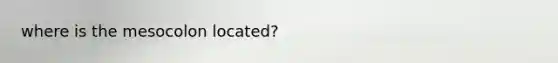 where is the mesocolon located?