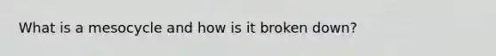 What is a mesocycle and how is it broken down?