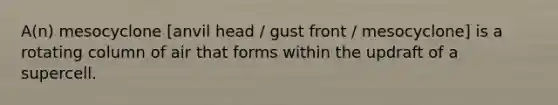 A(n) mesocyclone [anvil head / gust front / mesocyclone] is a rotating column of air that forms within the updraft of a supercell.