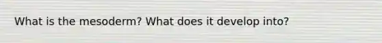 What is the mesoderm? What does it develop into?