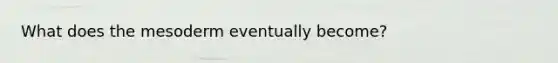 What does the mesoderm eventually become?