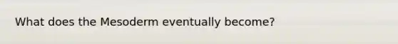 What does the Mesoderm eventually become?