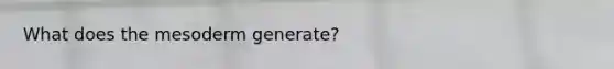 What does the mesoderm generate?