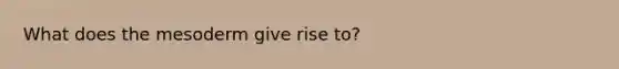 What does the mesoderm give rise to?