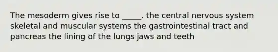 The mesoderm gives rise to _____. the central nervous system skeletal and muscular systems the gastrointestinal tract and pancreas the lining of the lungs jaws and teeth