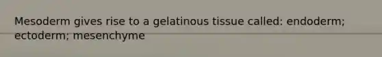 Mesoderm gives rise to a gelatinous tissue called: endoderm; ectoderm; mesenchyme