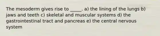 The mesoderm gives rise to _____. a) the lining of the lungs b) jaws and teeth c) skeletal and muscular systems d) the gastrointestinal tract and pancreas e) the central nervous system