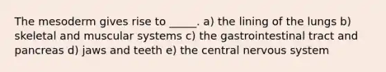 The mesoderm gives rise to _____. a) the lining of the lungs b) skeletal and muscular systems c) the gastrointestinal tract and pancreas d) jaws and teeth e) the central nervous system
