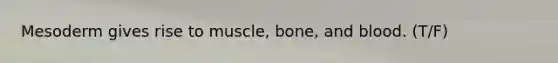 Mesoderm gives rise to muscle, bone, and blood. (T/F)