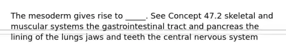 The mesoderm gives rise to _____. See Concept 47.2 skeletal and muscular systems the gastrointestinal tract and pancreas the lining of the lungs jaws and teeth the central nervous system