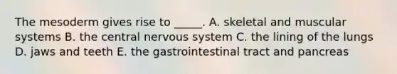 The mesoderm gives rise to _____. A. skeletal and muscular systems B. the central <a href='https://www.questionai.com/knowledge/kThdVqrsqy-nervous-system' class='anchor-knowledge'>nervous system</a> C. the lining of the lungs D. jaws and teeth E. the gastrointestinal tract and pancreas