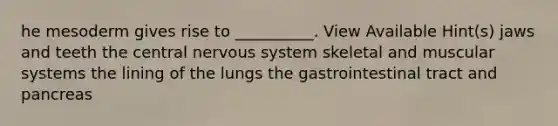 he mesoderm gives rise to __________. View Available Hint(s) jaws and teeth the central nervous system skeletal and muscular systems the lining of the lungs the gastrointestinal tract and pancreas