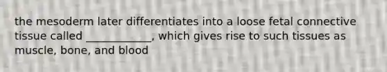 the mesoderm later differentiates into a loose fetal <a href='https://www.questionai.com/knowledge/kYDr0DHyc8-connective-tissue' class='anchor-knowledge'>connective tissue</a> called ____________, which gives rise to such tissues as muscle, bone, and blood