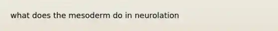 what does the mesoderm do in neurolation