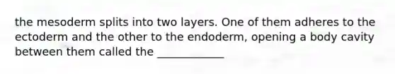 the mesoderm splits into two layers. One of them adheres to the ectoderm and the other to the endoderm, opening a body cavity between them called the ____________