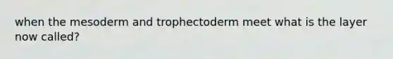 when the mesoderm and trophectoderm meet what is the layer now called?