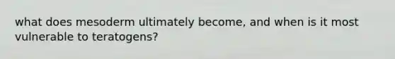 what does mesoderm ultimately become, and when is it most vulnerable to teratogens?
