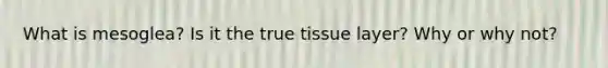 What is mesoglea? Is it the true tissue layer? Why or why not?