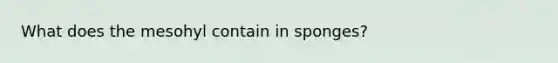 What does the mesohyl contain in sponges?