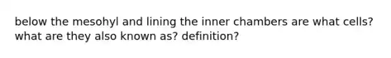 below the mesohyl and lining the inner chambers are what cells? what are they also known as? definition?